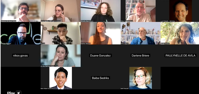 Zoom picture of participants in the IDEA Webinar