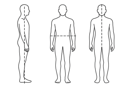 Diagram showing the planes of motion.