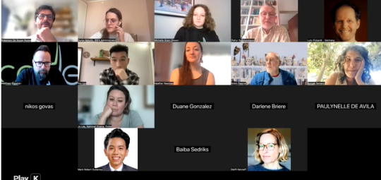 Zoom picture of participants in the IDEA Webinar