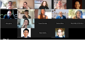 Zoom picture of participants in the IDEA Webinar
