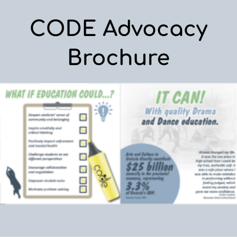 2020 CODE Advocacy Brochure graphic